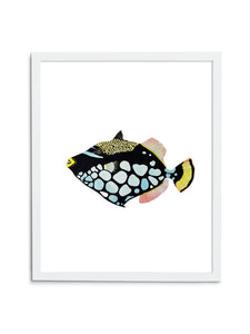 Triggerfish—White - Wee Wild Ones - Art Prints