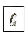 White Emperor Penguin Dad and Baby Art Print in Black Frame