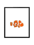 White Clownfish Art Print with Black Frame
