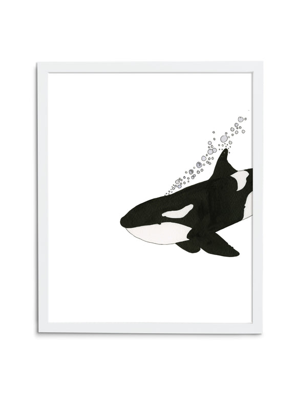 Orca—White - Wee Wild Ones - Art Prints