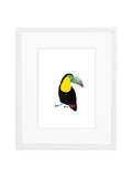 Toucan—White - Wee Wild Ones - Art Prints