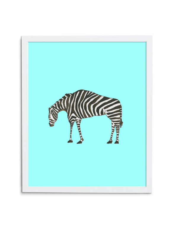 Zebra Baby—Blue - Wee Wild Ones - Art Prints