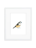 White Finch Art Print in White Frame with Mat